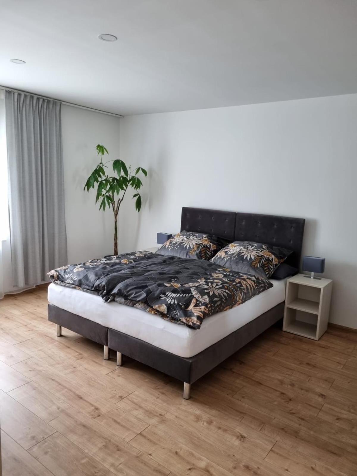 Gaestehaus Windrose Fichtelberg Exteriér fotografie